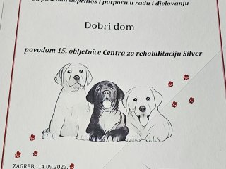 15 years of the Silver Rehabilitation Center