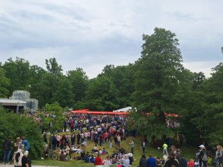 Maksimir