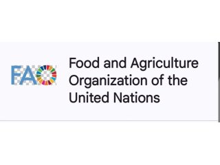 Right to food