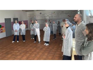 PRACTICAL TEACHING OF STUDENTS OF THE UNIVERSITY OF APPLIED HEALTH SCIENCES (CITY OF ZAGREB) AT INSTITUTION CITY OF ZAGREB DOBRI DOM