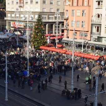 Distribution of cod organized by the City of Zagreb